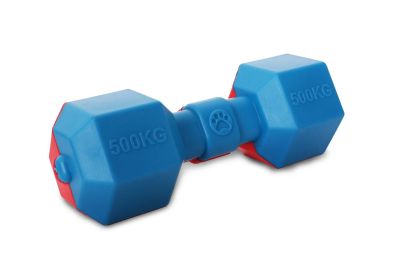 Pet Life Dumbbell Durable Water Floating Chew And Fetch Dog Toy (SKU: DT16RDB)